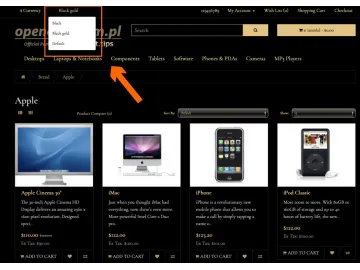 Theme Selector For a Customer